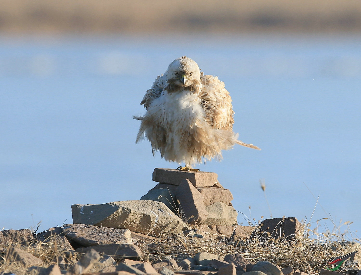 04 - 3644_������