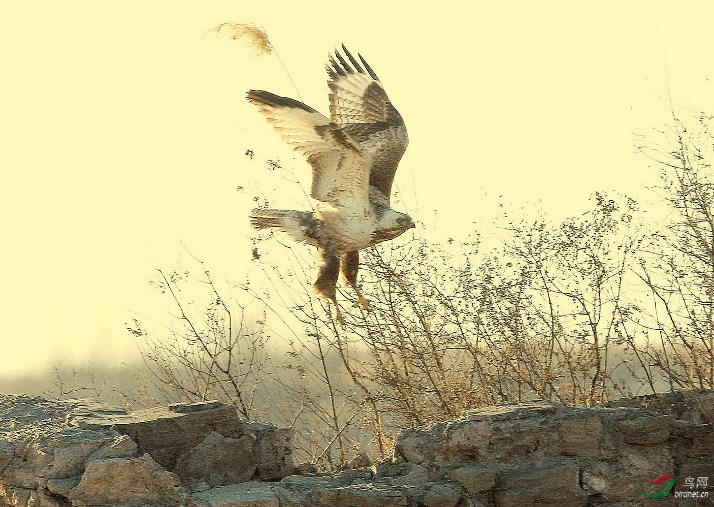 18 - 3796 ��������=.jpg