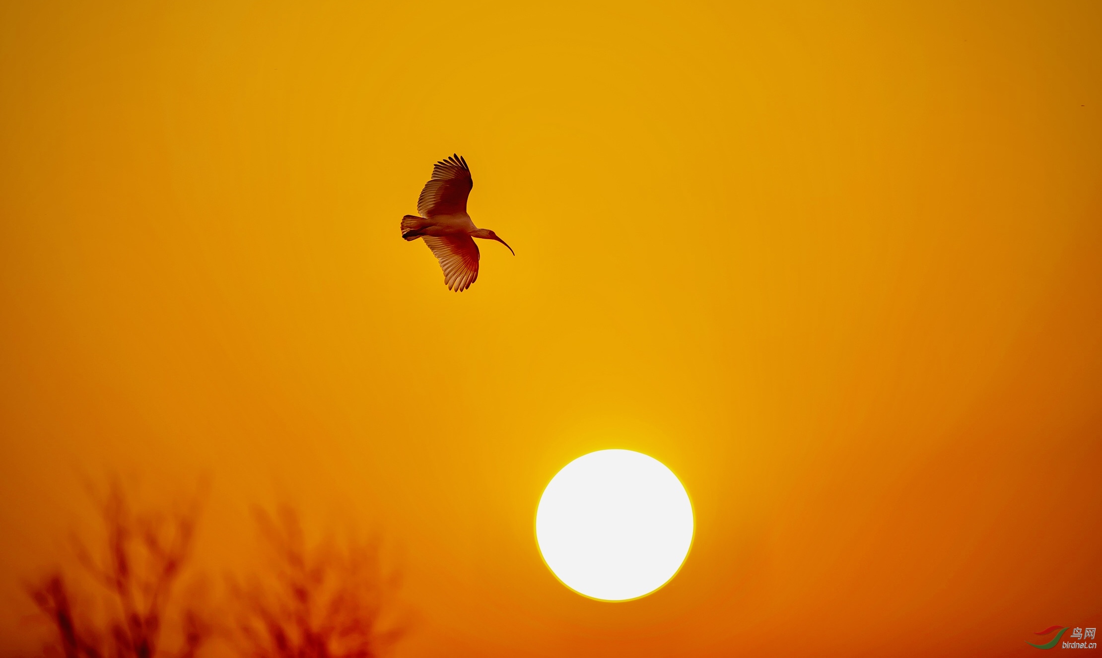 8C342A6D-0B6A-445C-95FD-CA4280F8A215.jpeg
