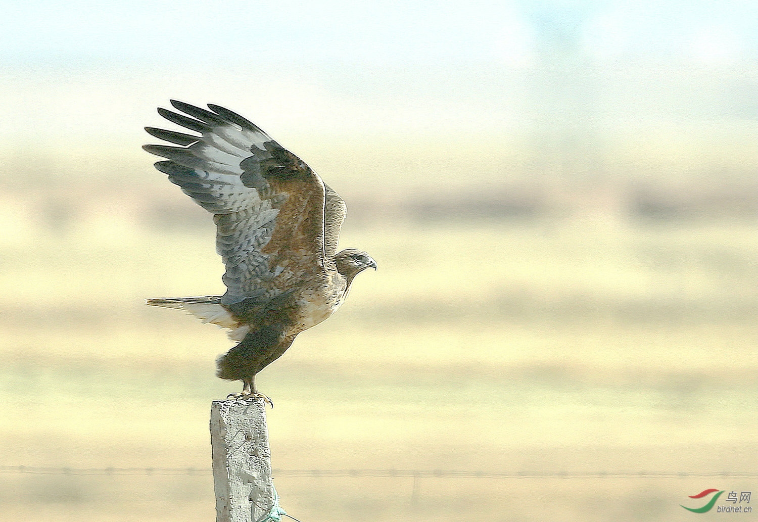 20 -  5277 ��ԭ��