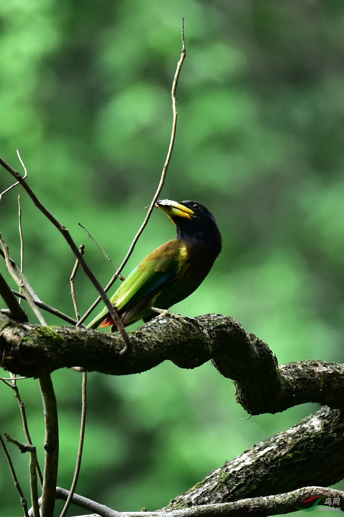 DSC_0204.JPG