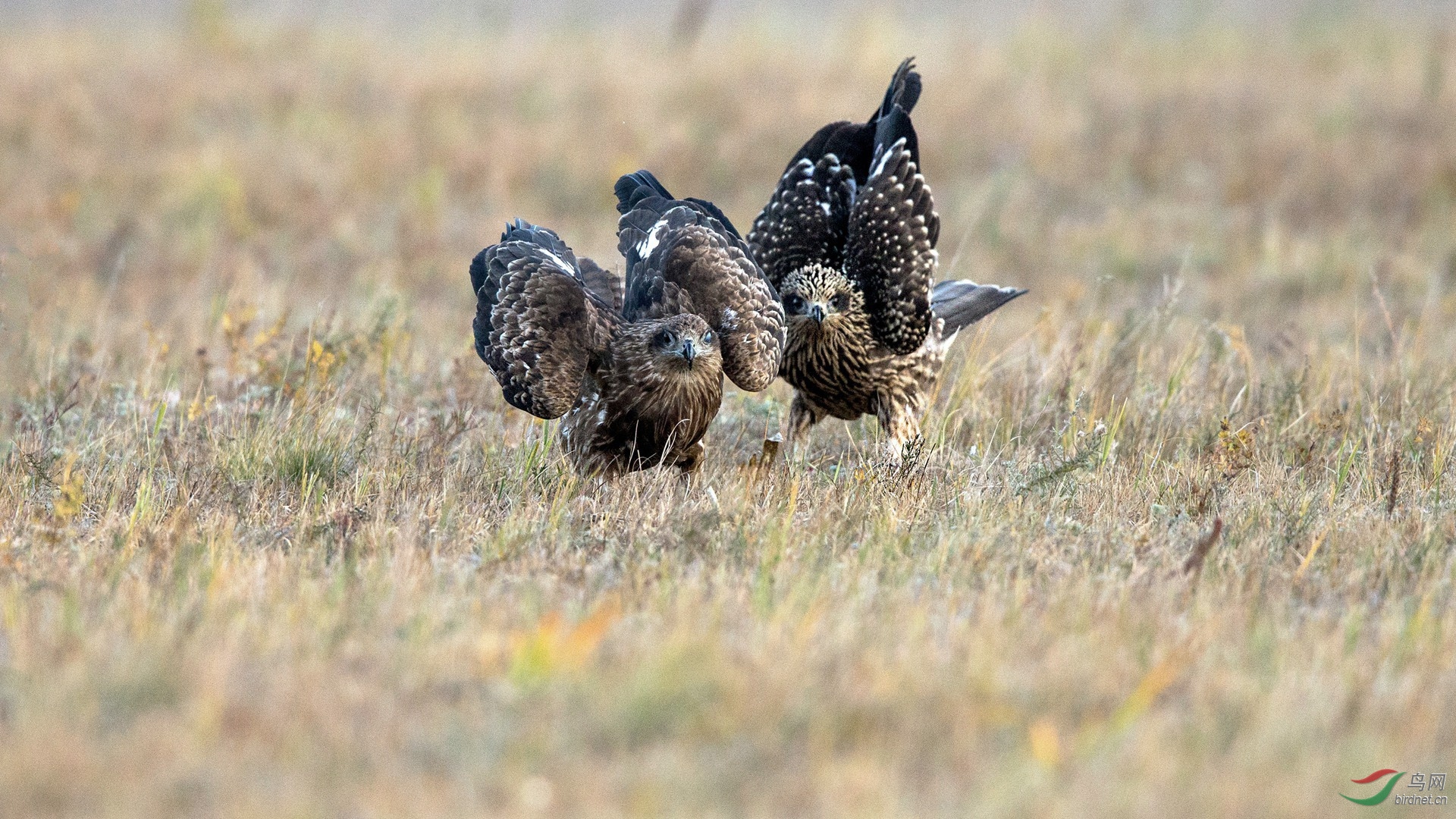 BW4Q8587 - ����.jpg