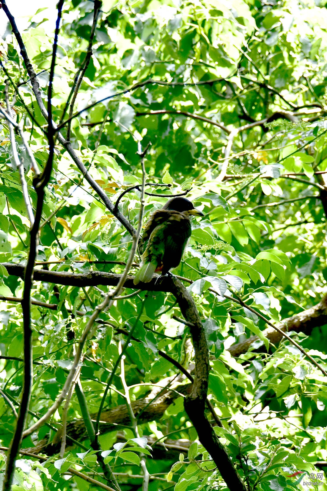 DSC_0207.JPG