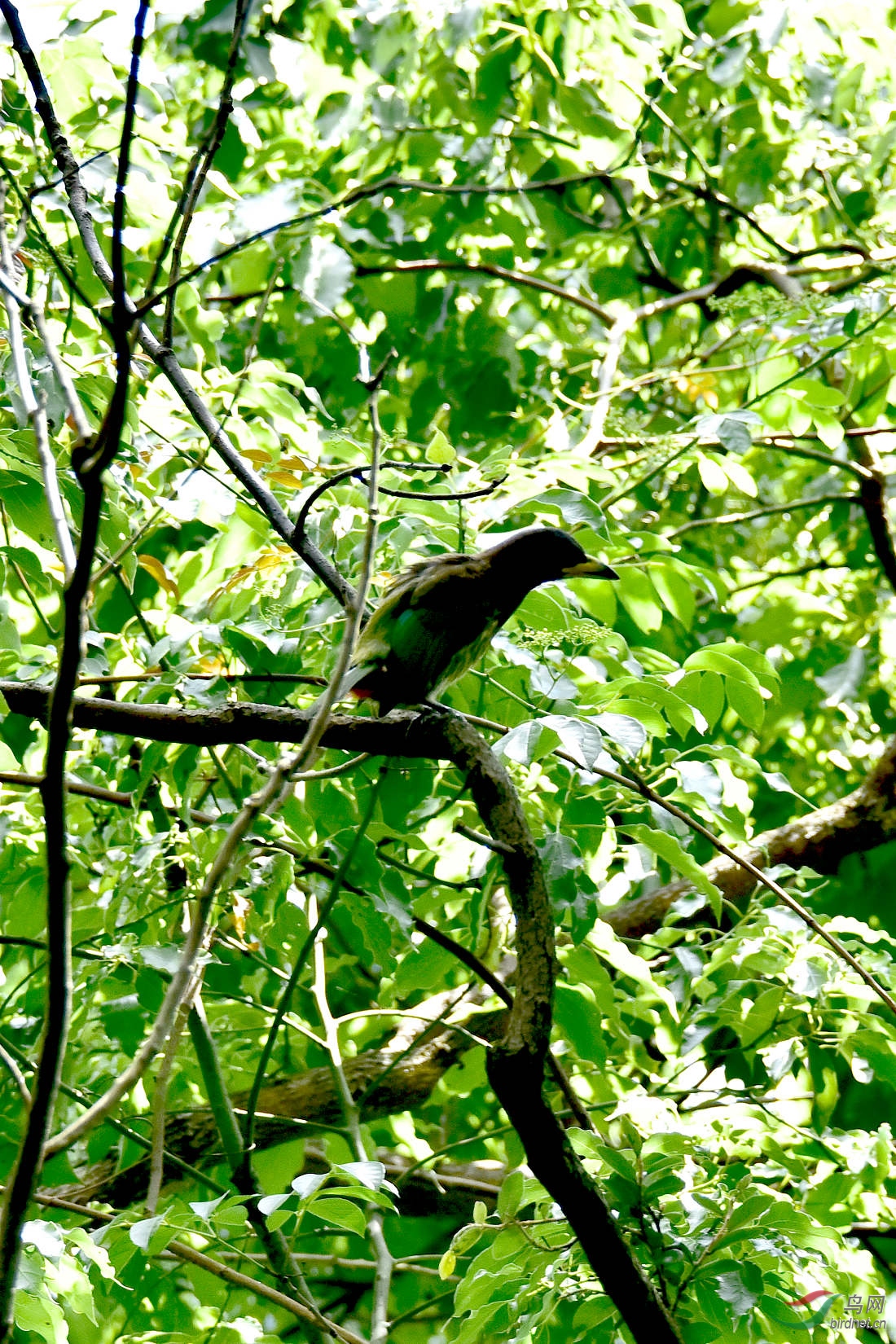 DSC_0208.JPG