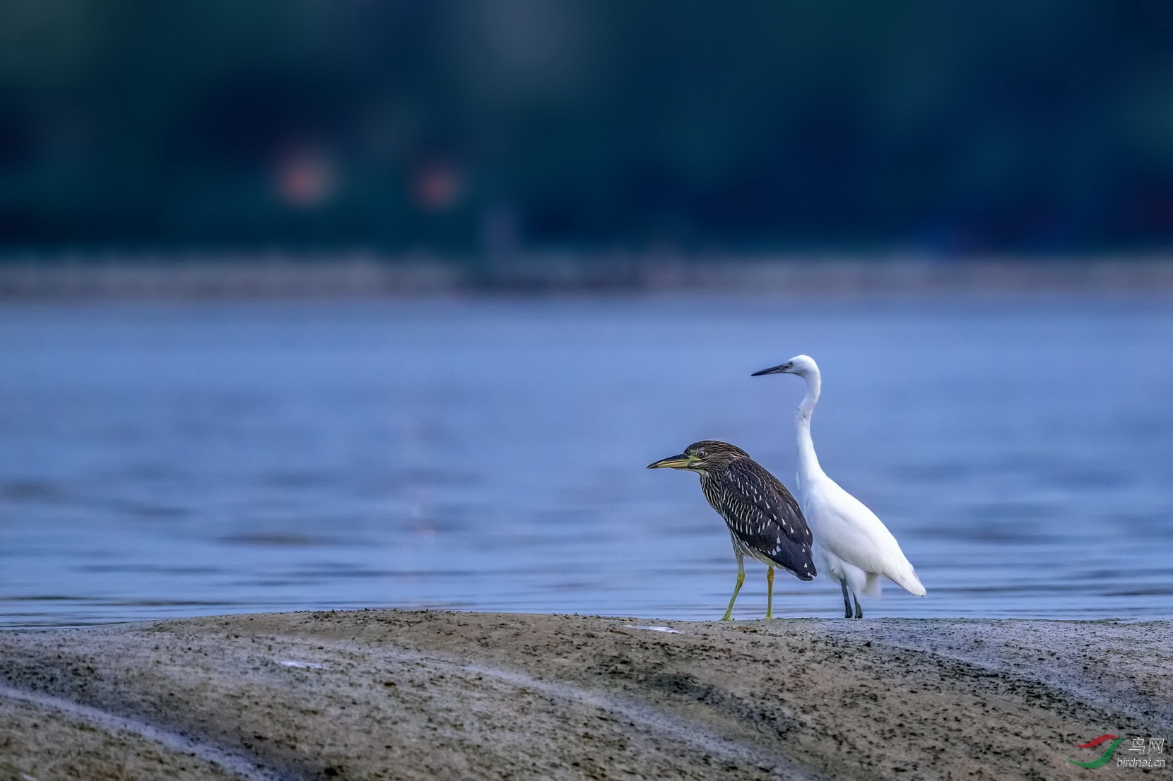 DSC_3832F03.jpg