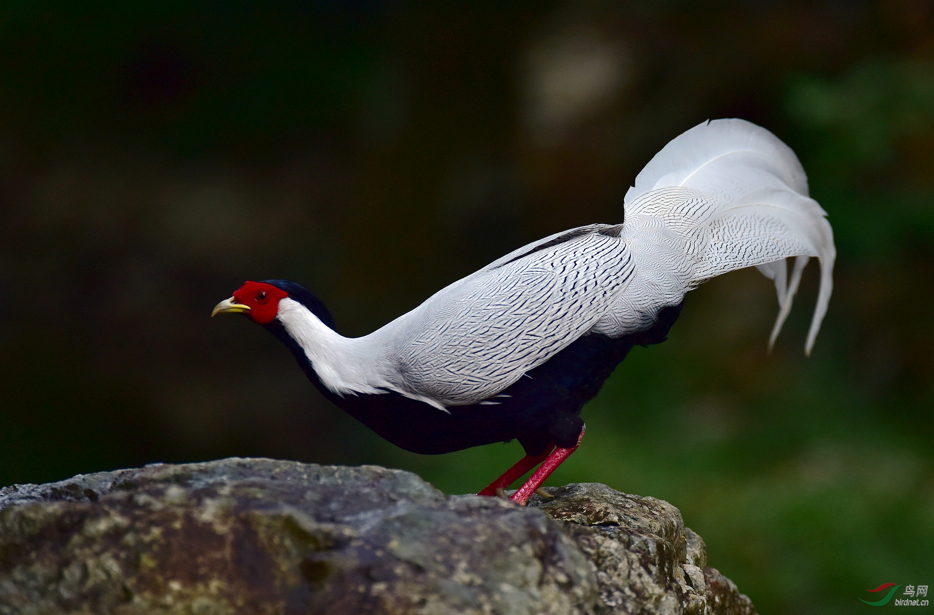 D8I_0228.jpg