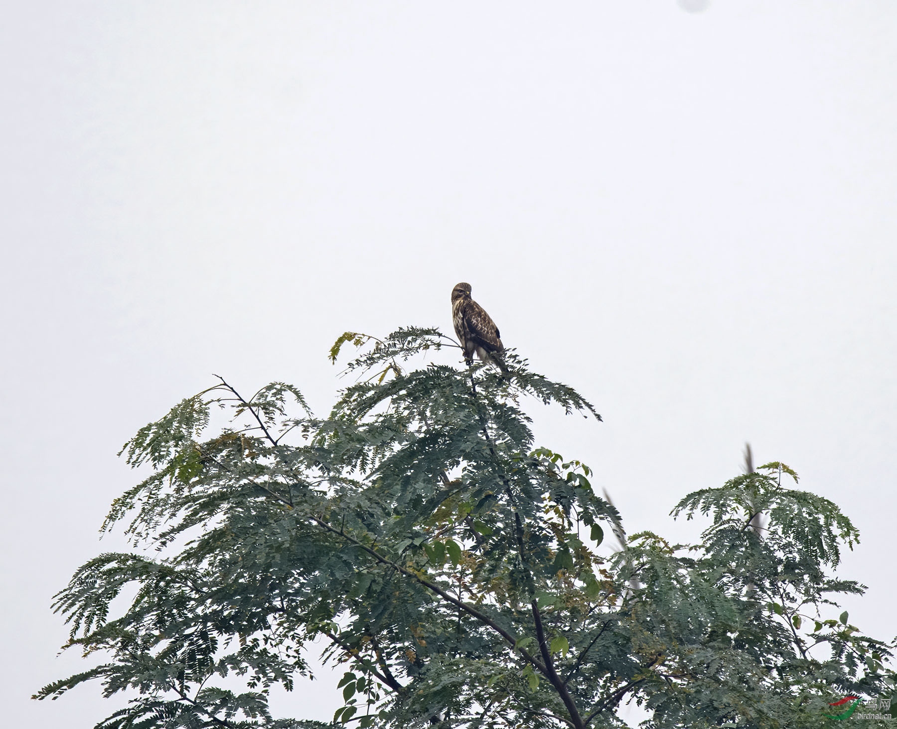 DSC_7042.jpg