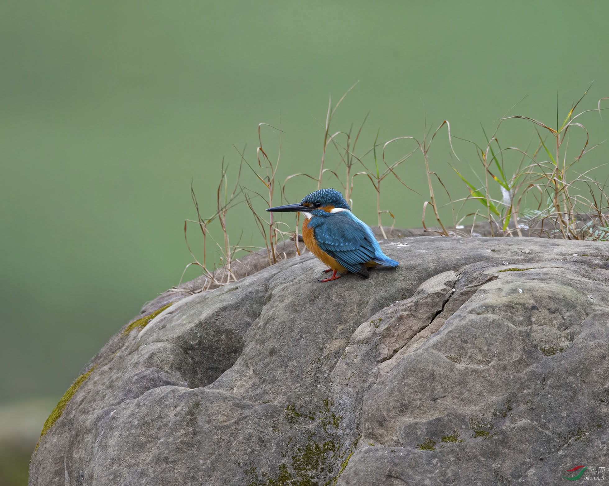 DSC_6897.jpg