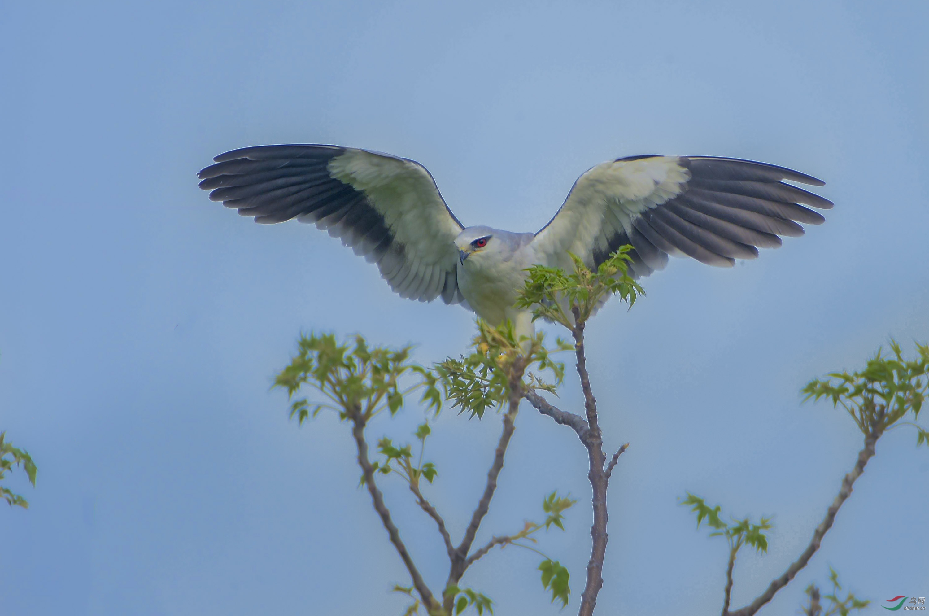 DSC_4384_�ڳ��--02.jpg
