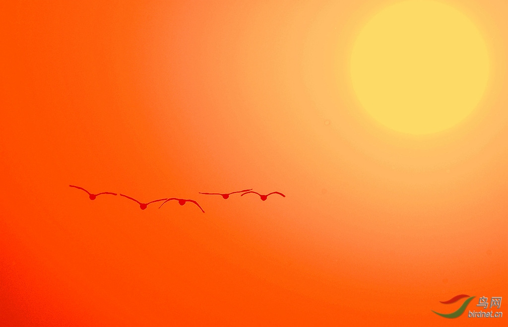 ����̫��