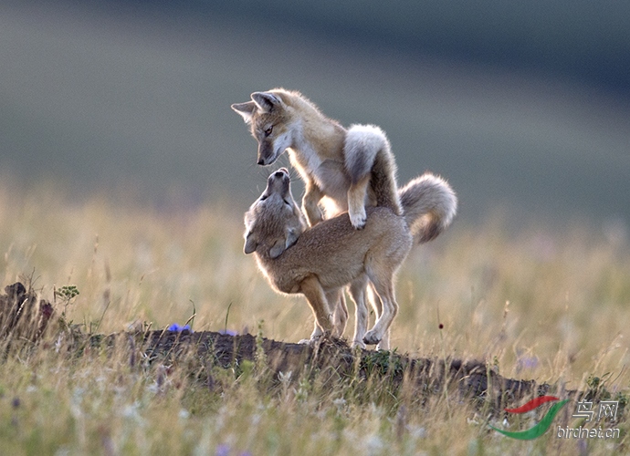 Photo taken on 2017-08-06 11-14-01 (3).jpg