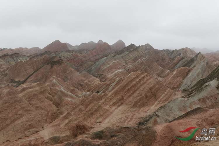 0S2A2685.JPG