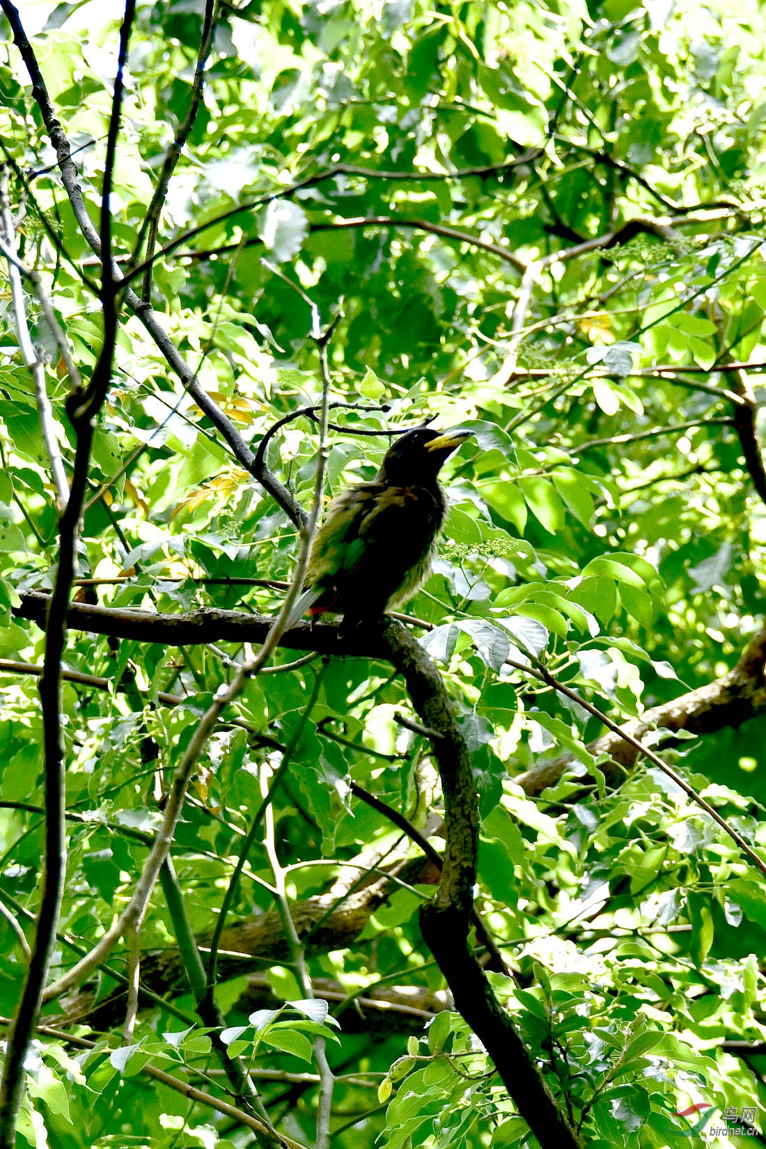 DSC_0214.JPG