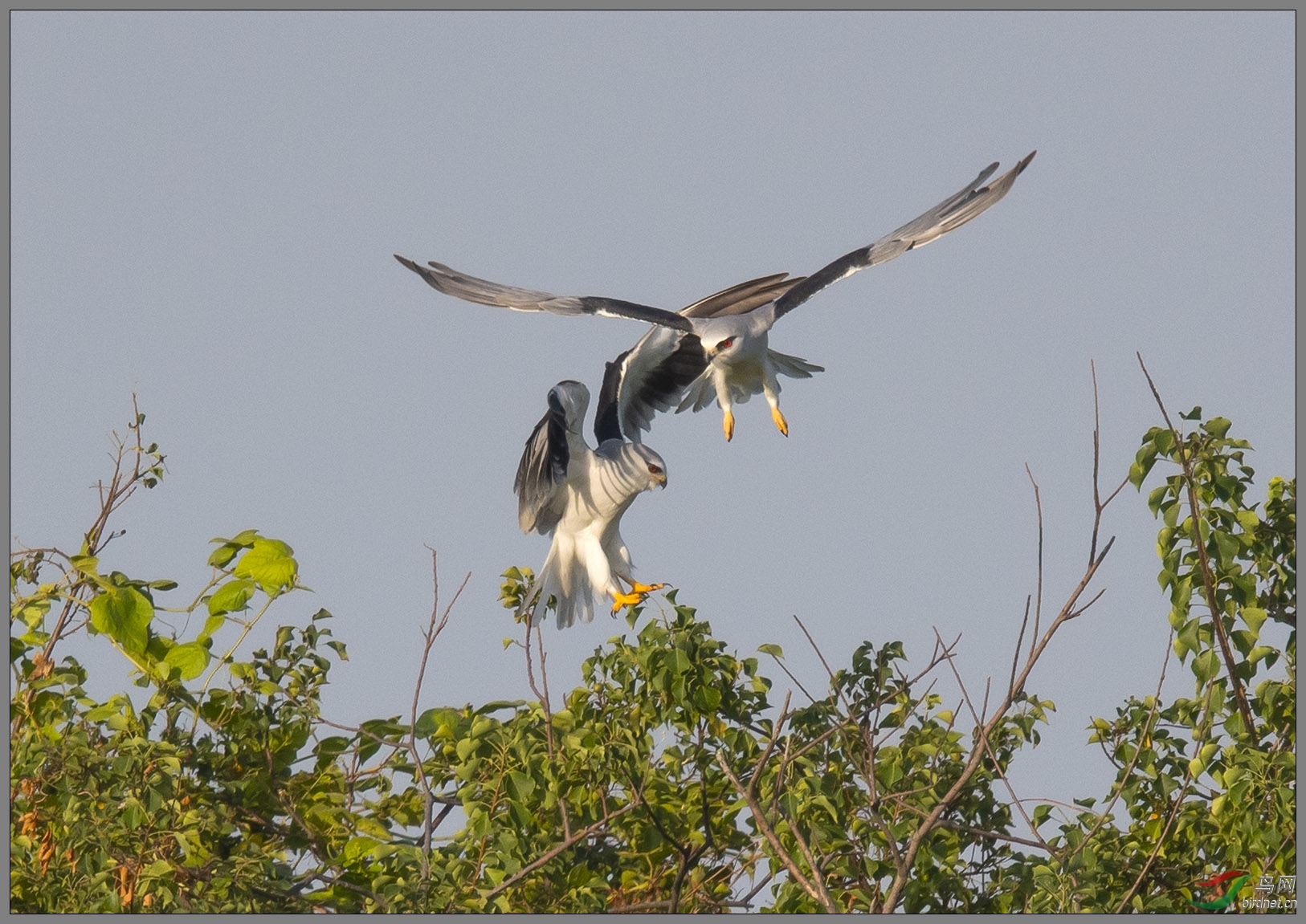 DSC_6320.jpg