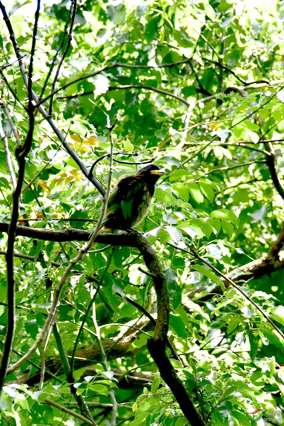 DSC_0216.JPG