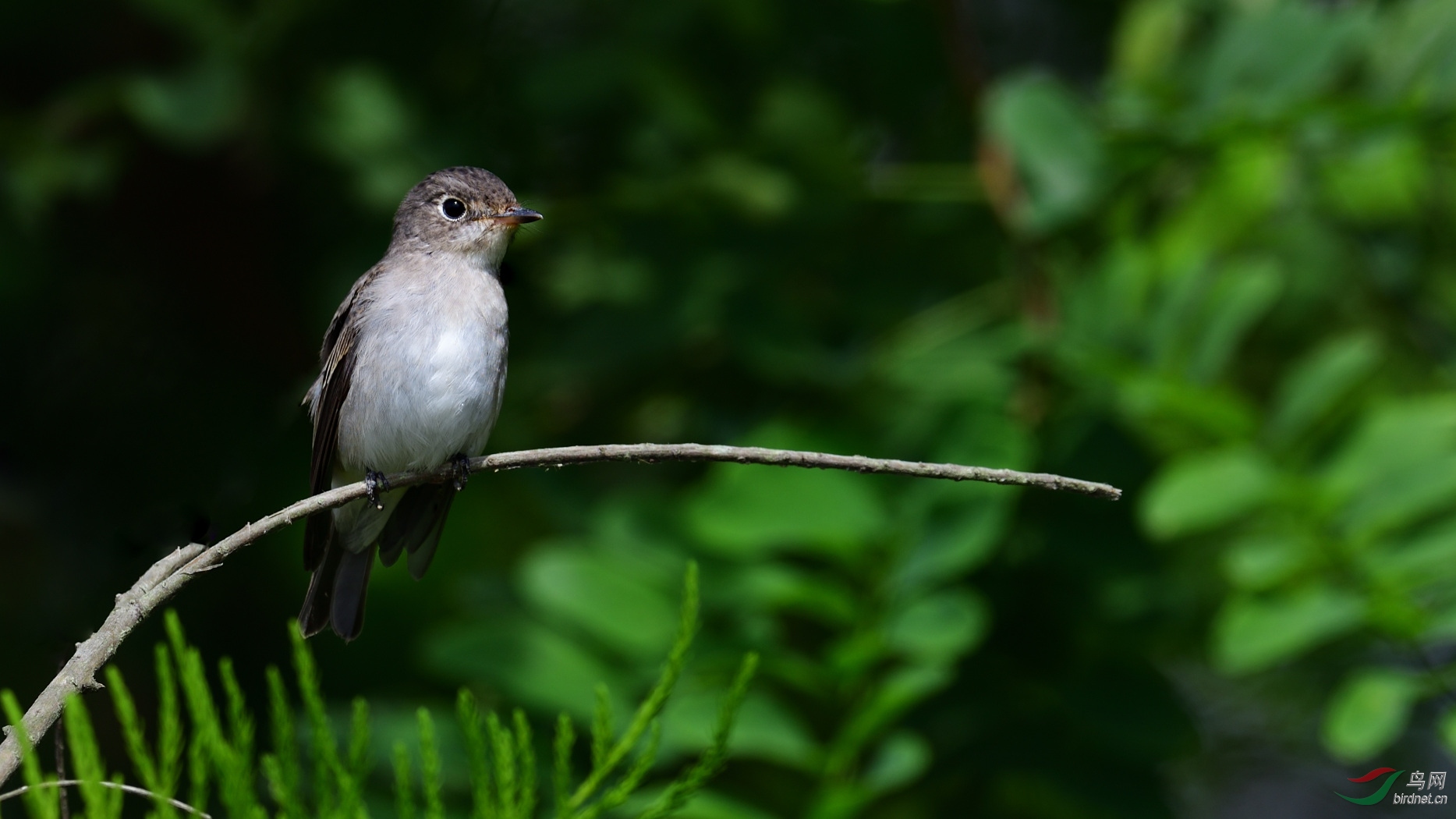 DSC_8901_00001.jpg