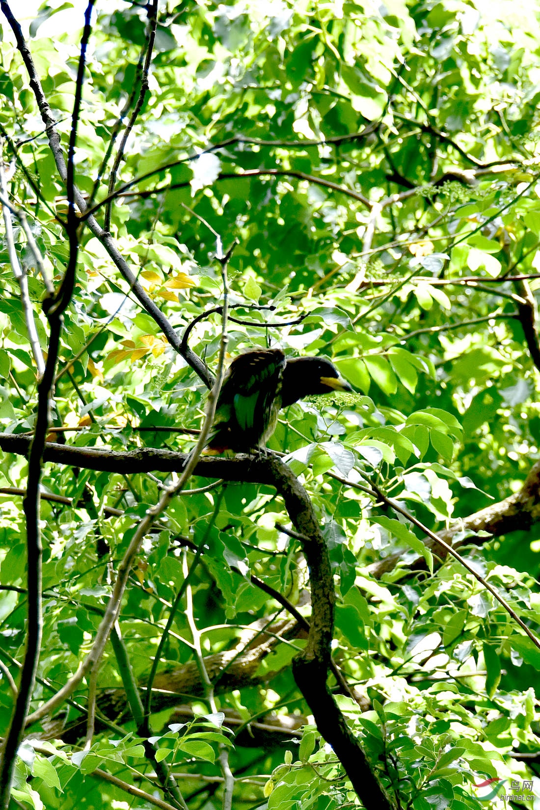 DSC_0217.JPG