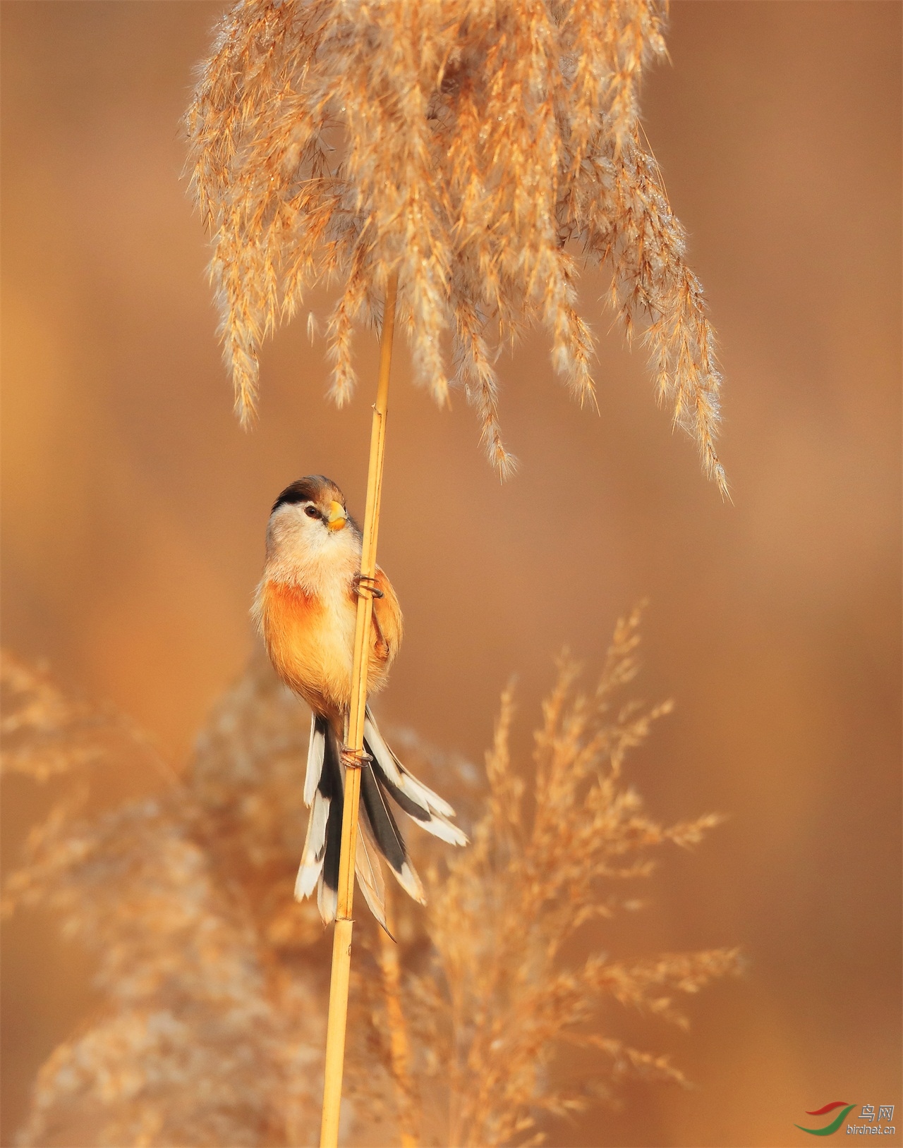 1 - ����.JPG