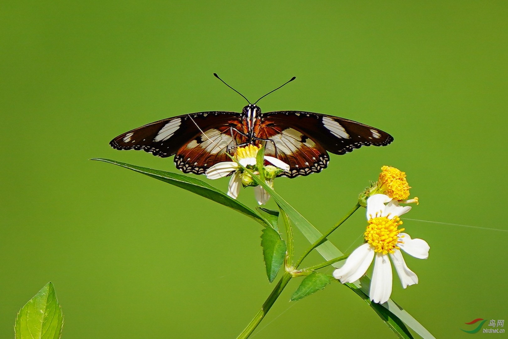 YPM09792.jpg