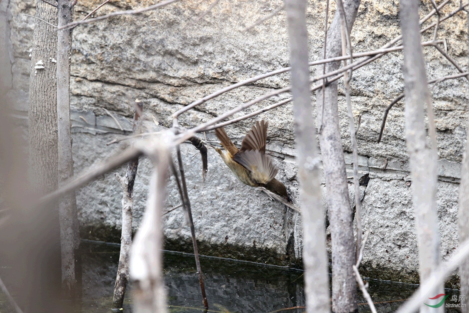 DJ4W9707.JPG