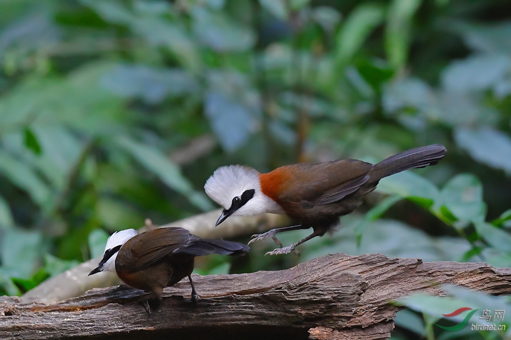 DSC_5471_DxOa1.jpg