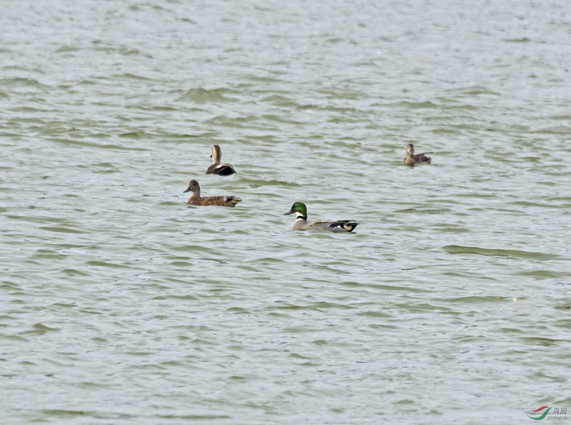 DSC_5982.jpg