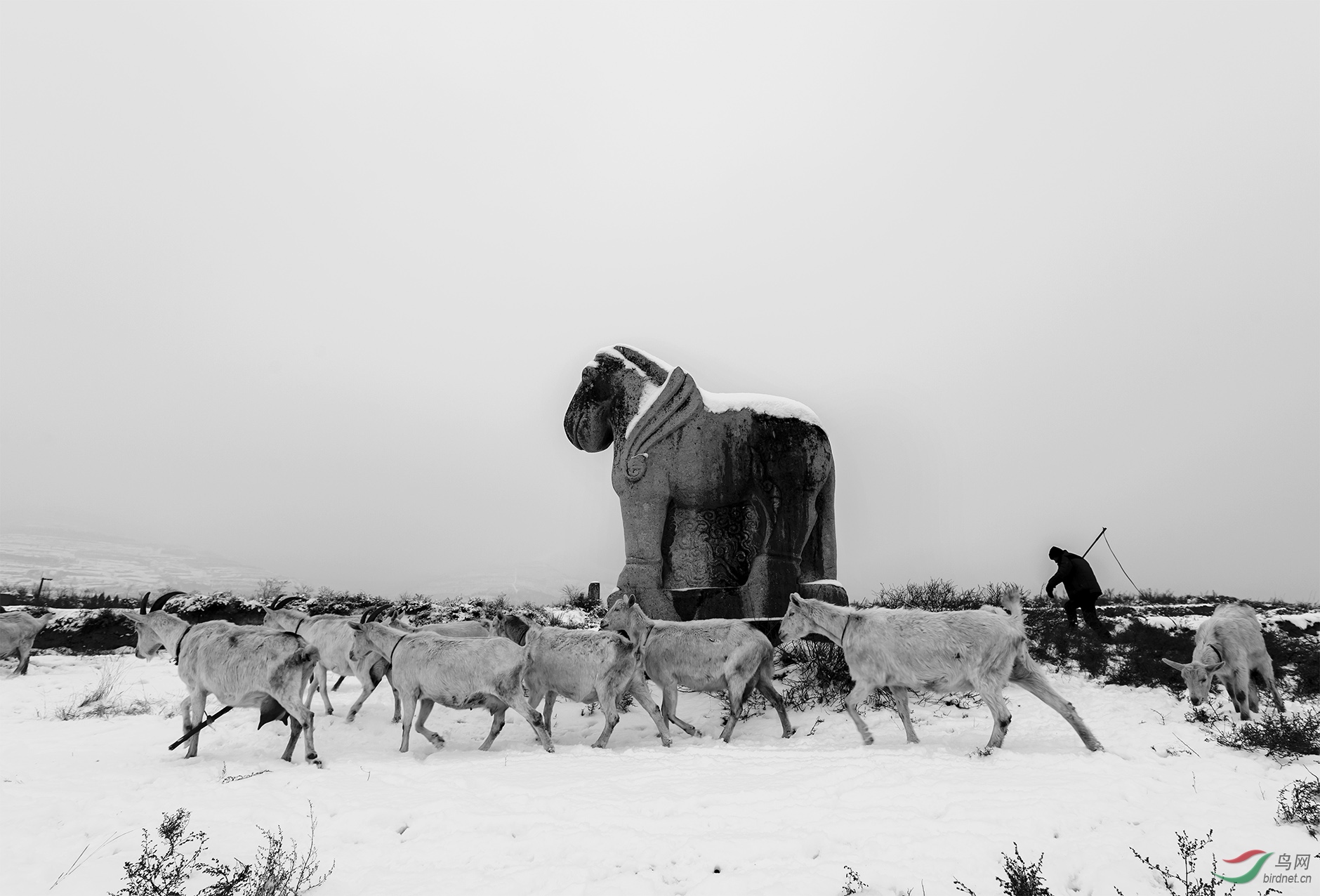 �������