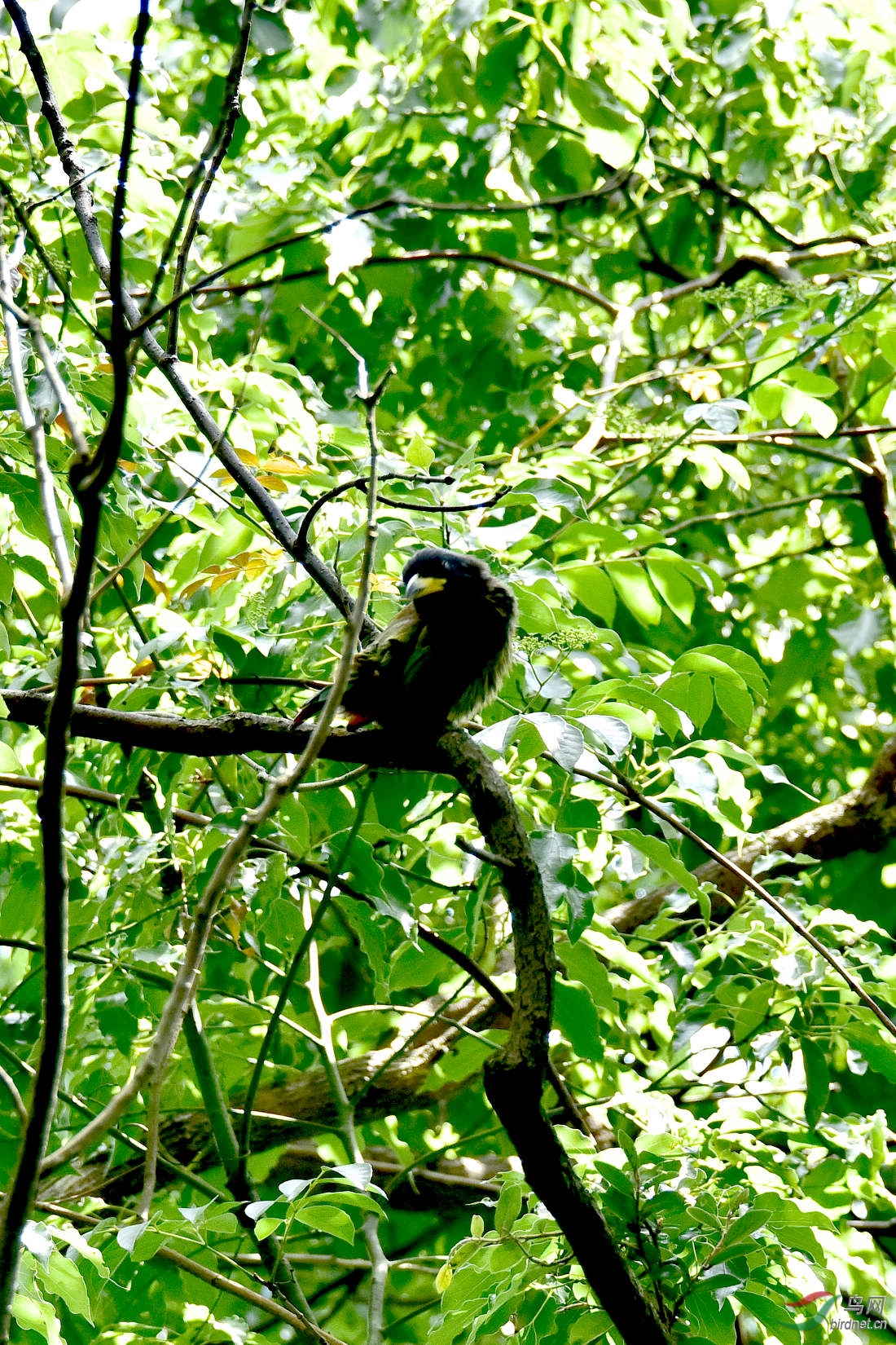 DSC_0224.JPG