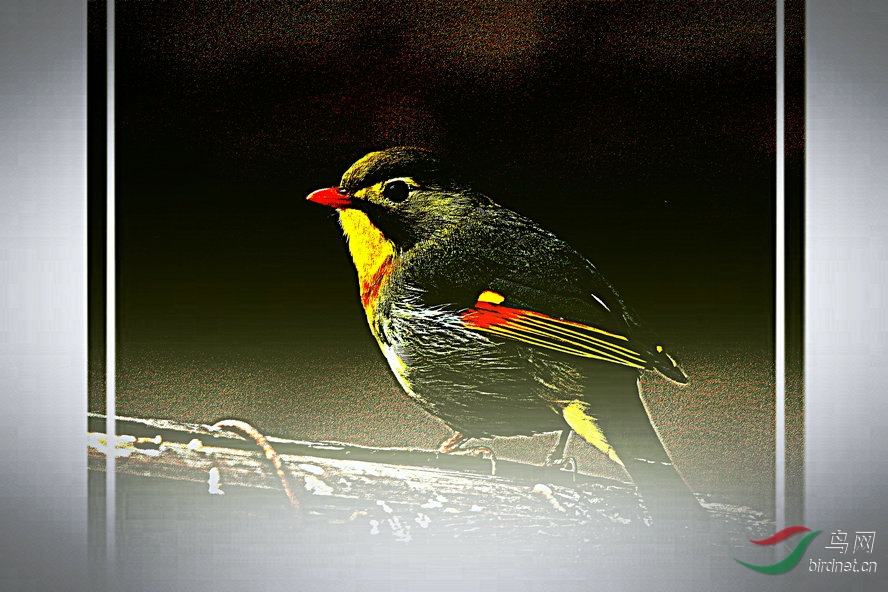 4K0A7017_����_����1_����.jpg