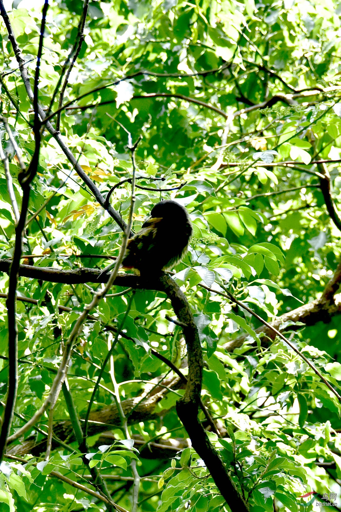 DSC_0226.JPG