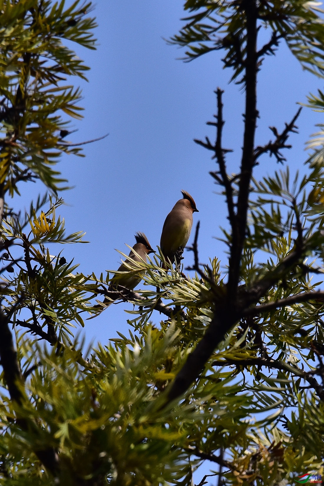 DSC_1383.JPG
