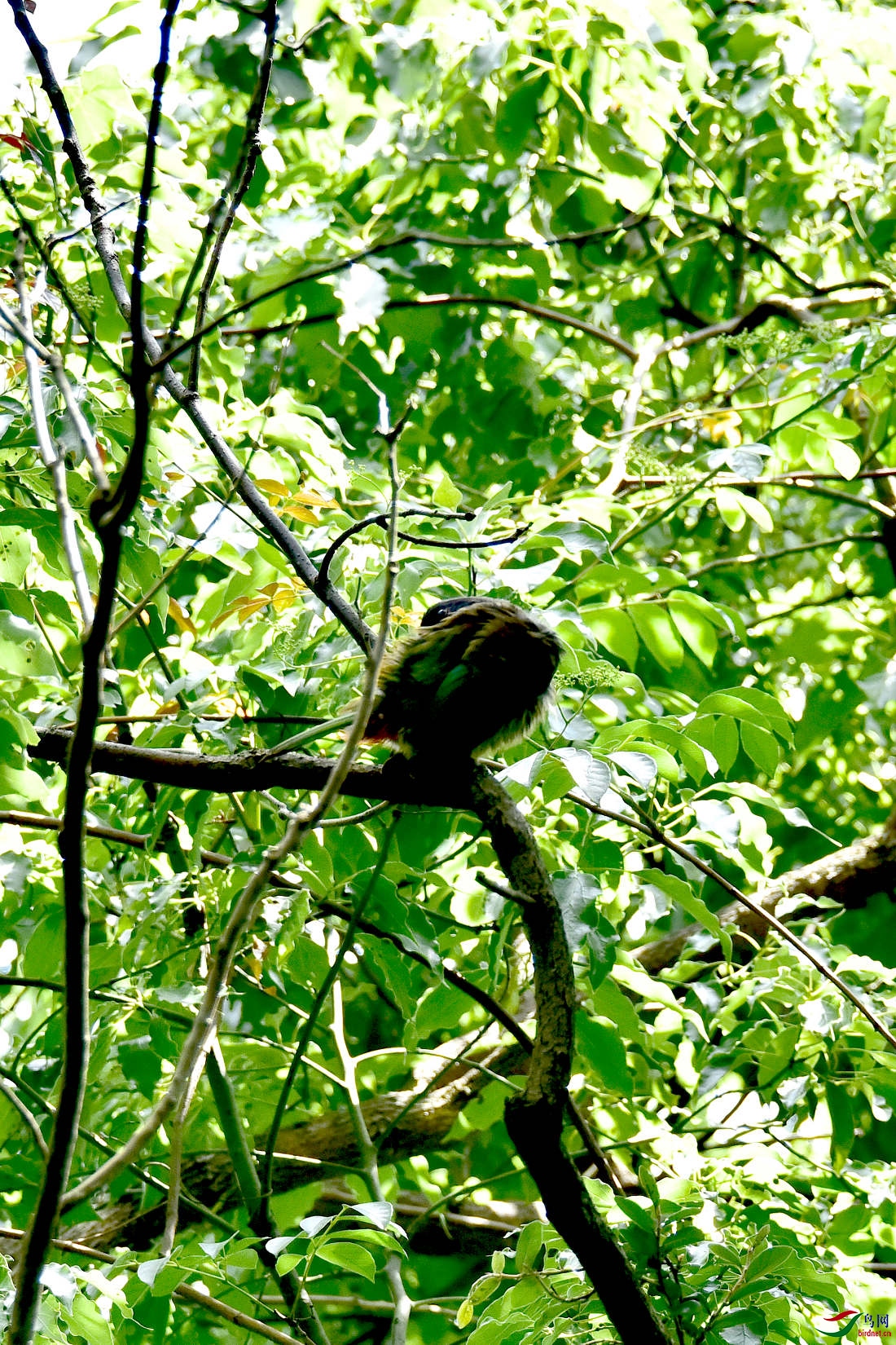 DSC_0229.JPG