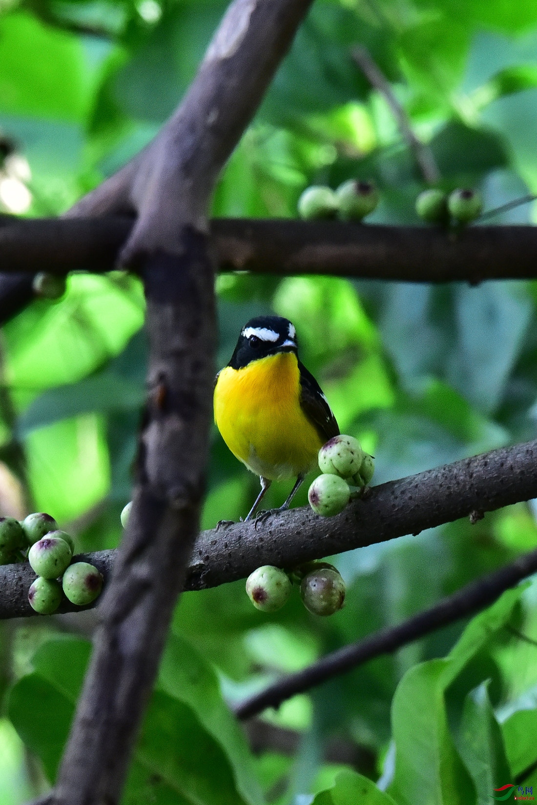 DSC_0018.JPG
