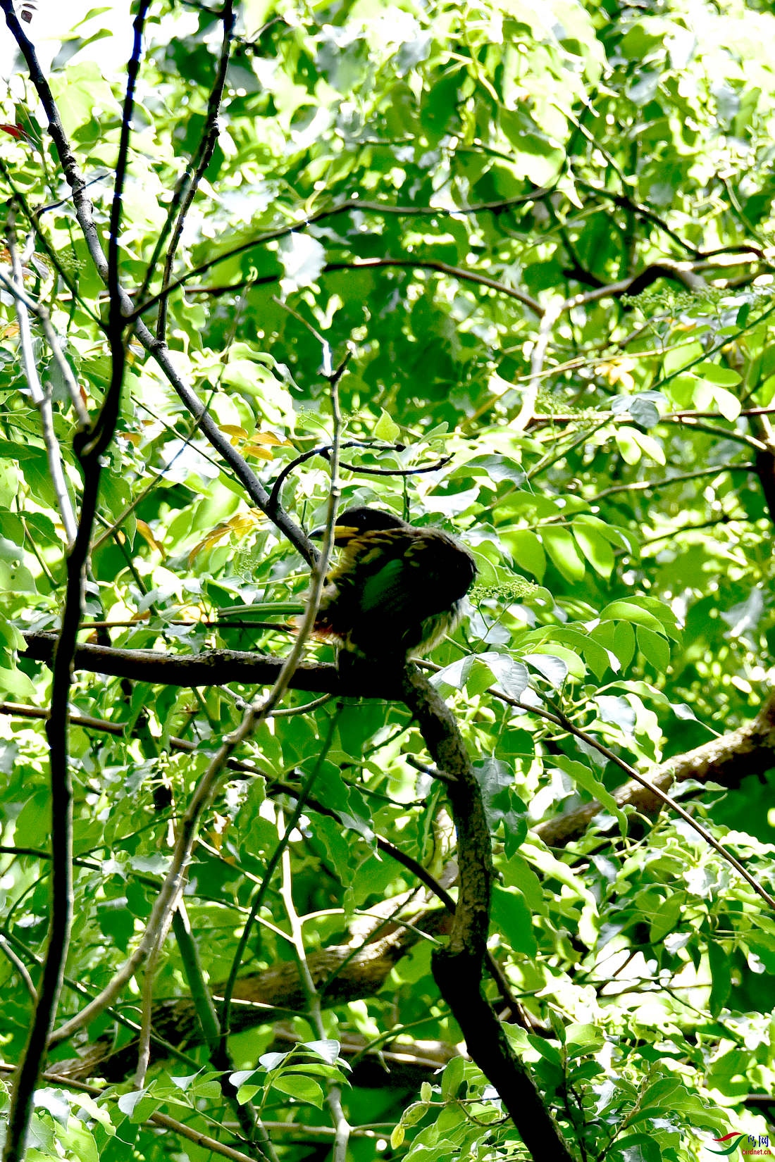 DSC_0231.JPG