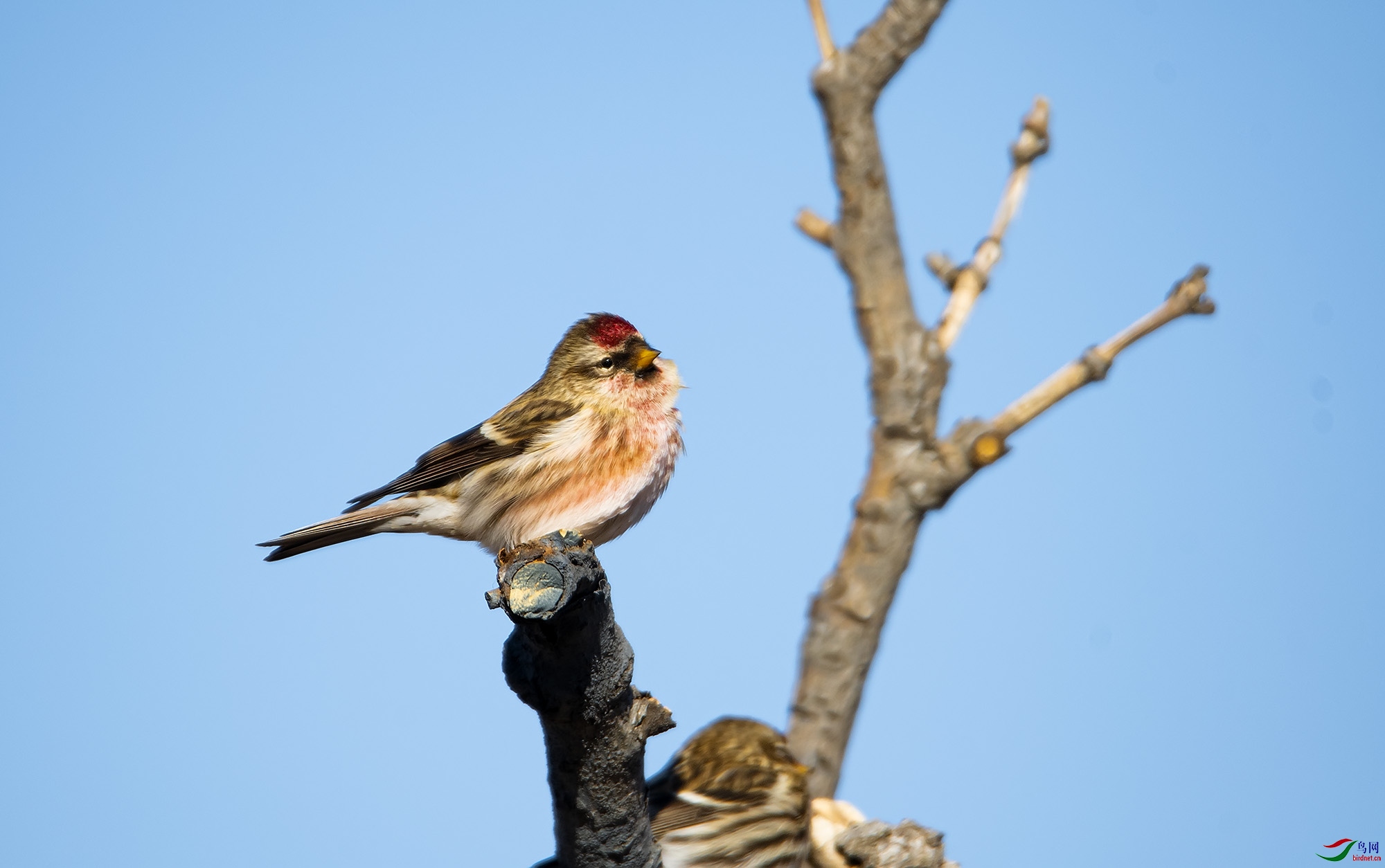 DSC_0531.jpg