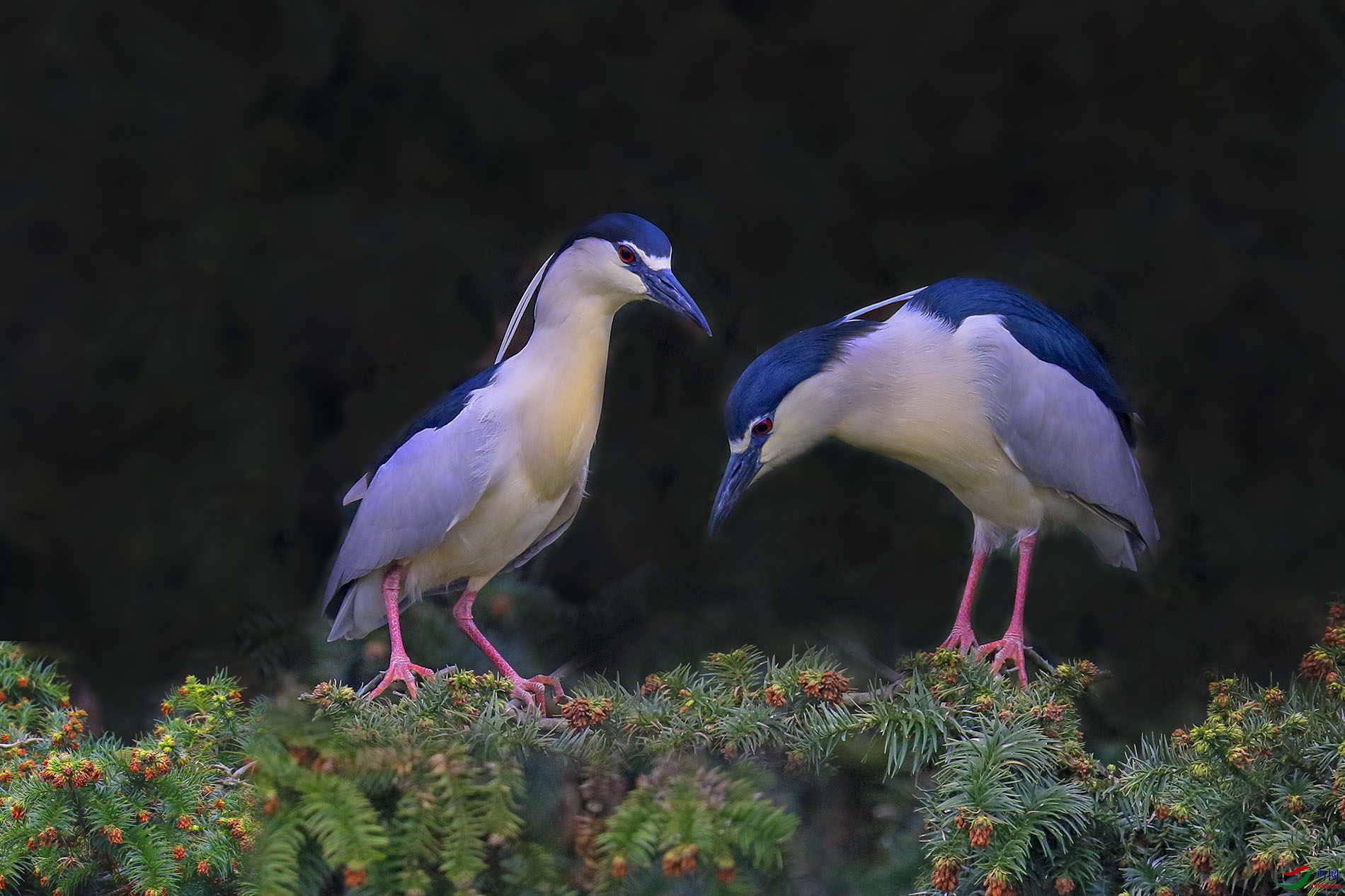 3D1A4426.JPG