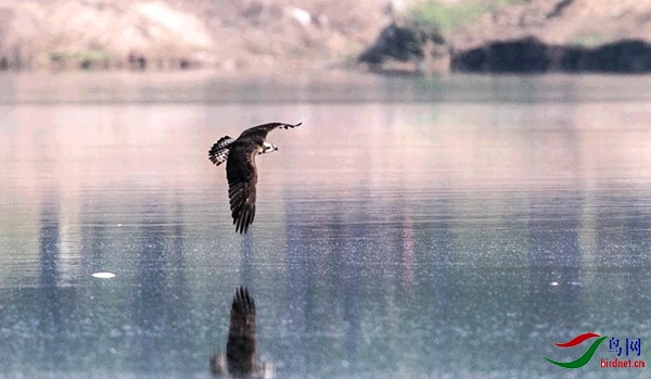 _J4W7163.jpg