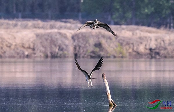 _J4W7174.jpg