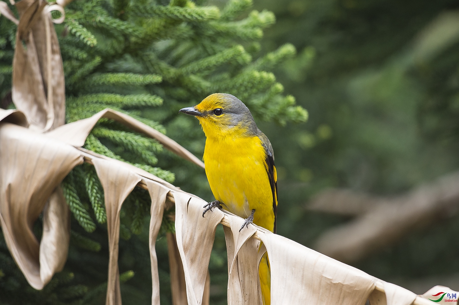 DSC_0563.jpg