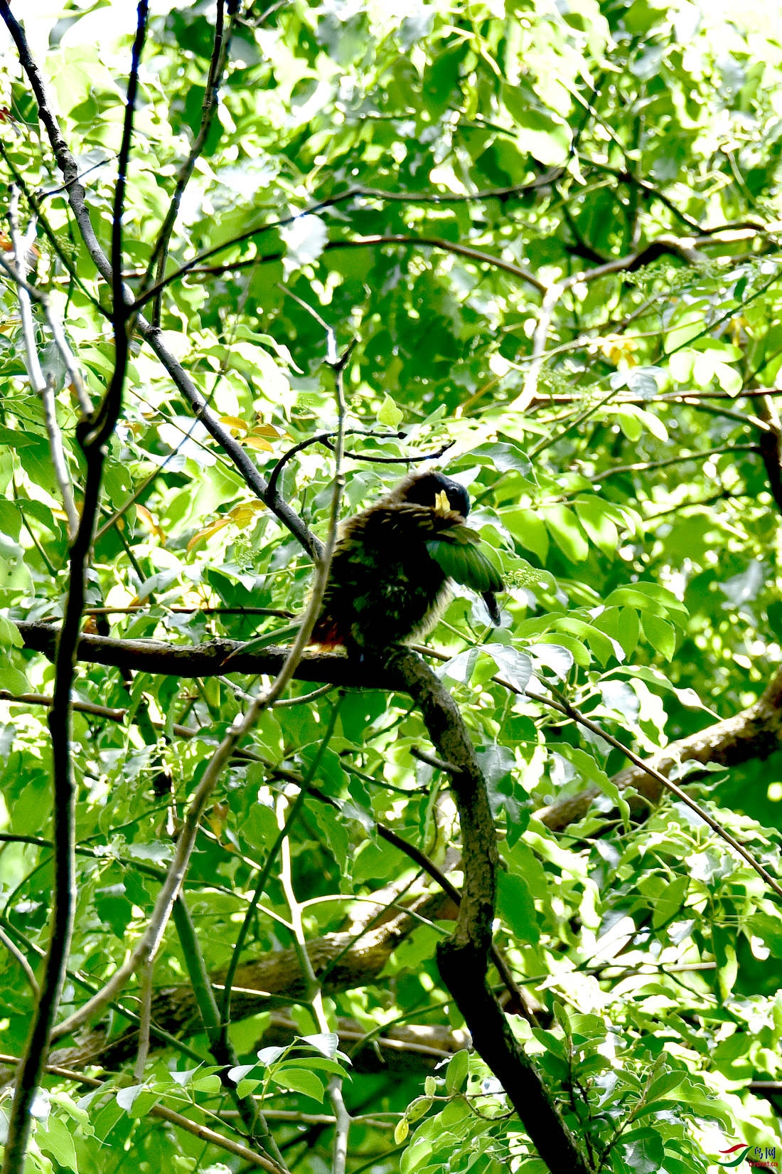 DSC_0234.JPG