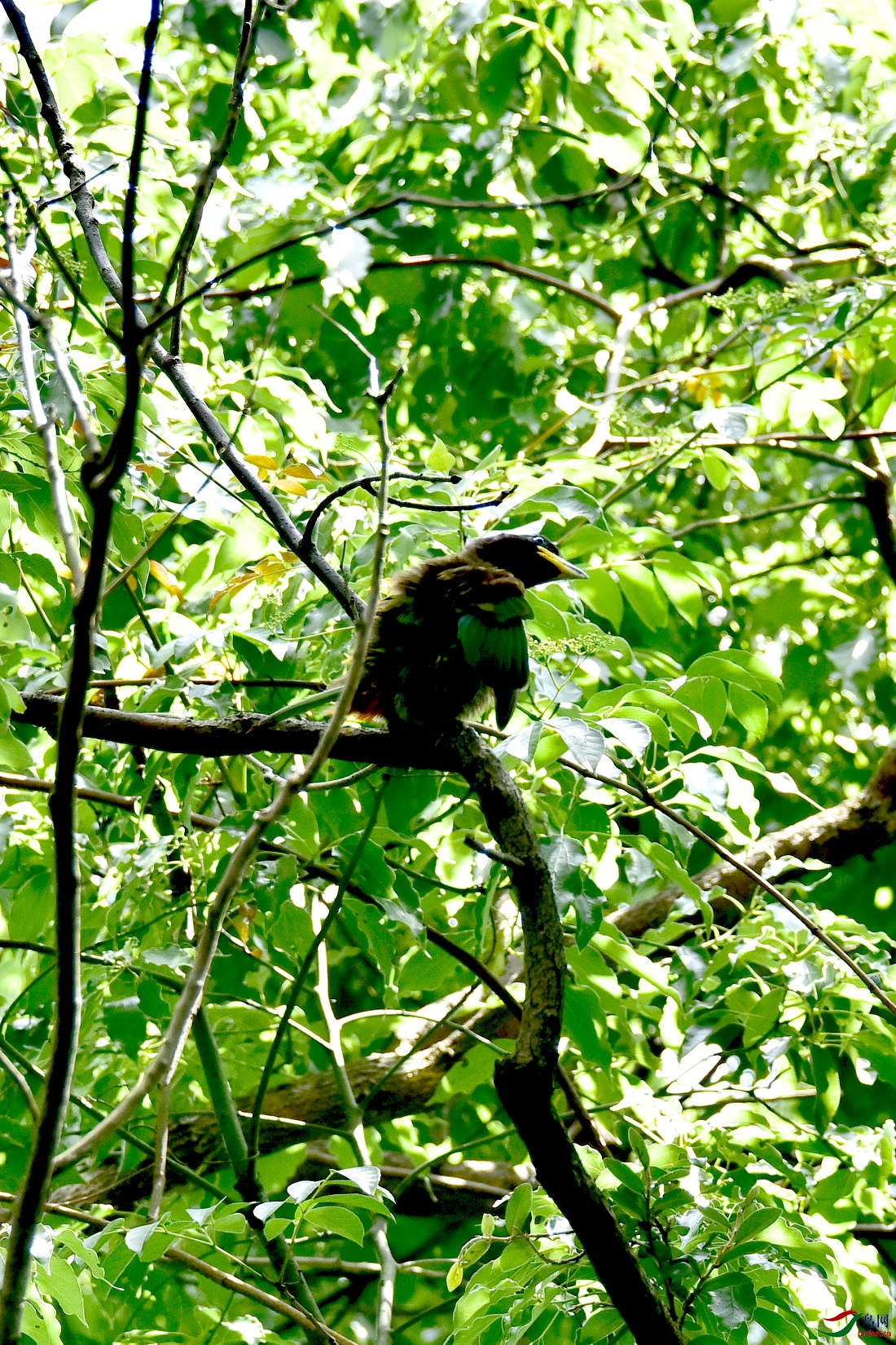 DSC_0236.JPG