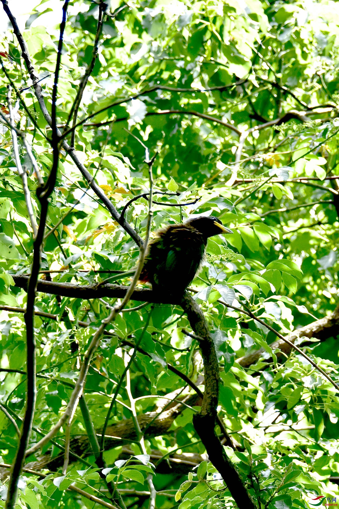 DSC_0237.JPG