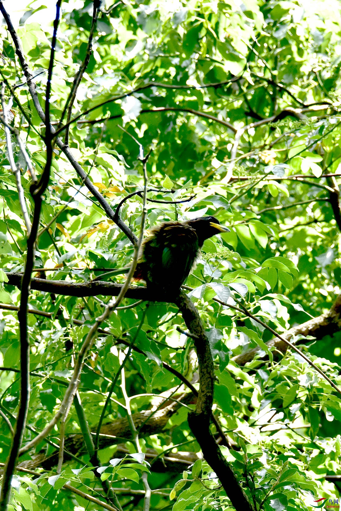 DSC_0238.JPG
