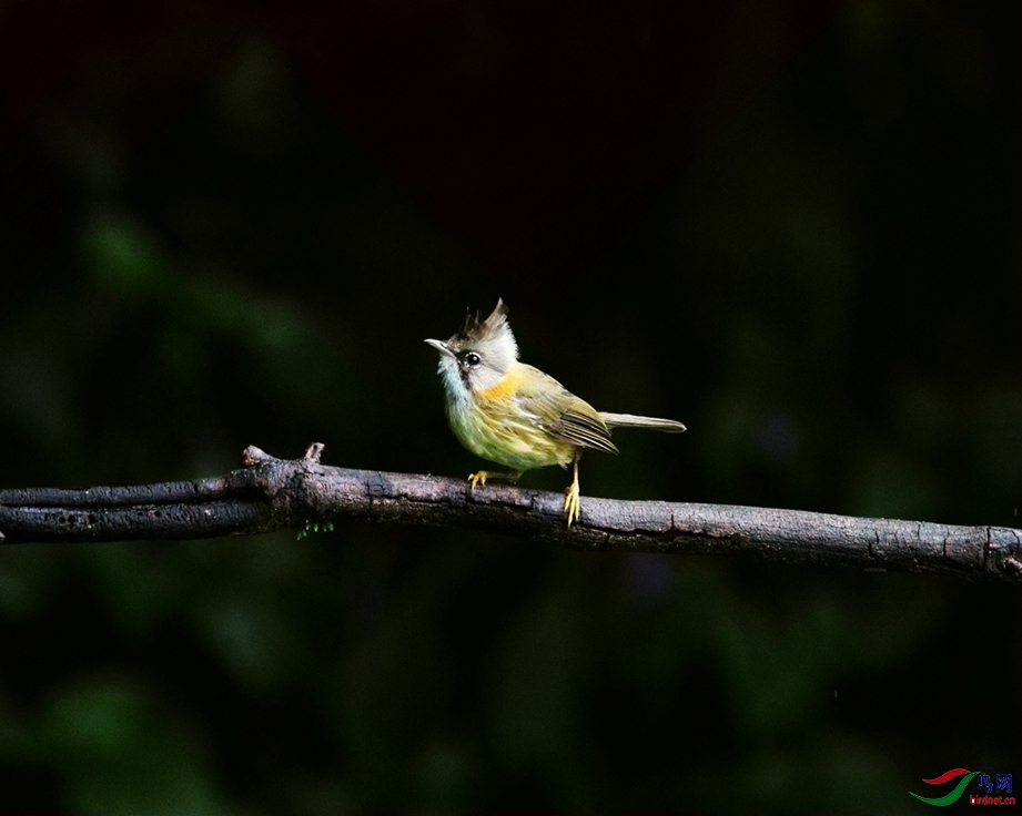 �ƾ�����