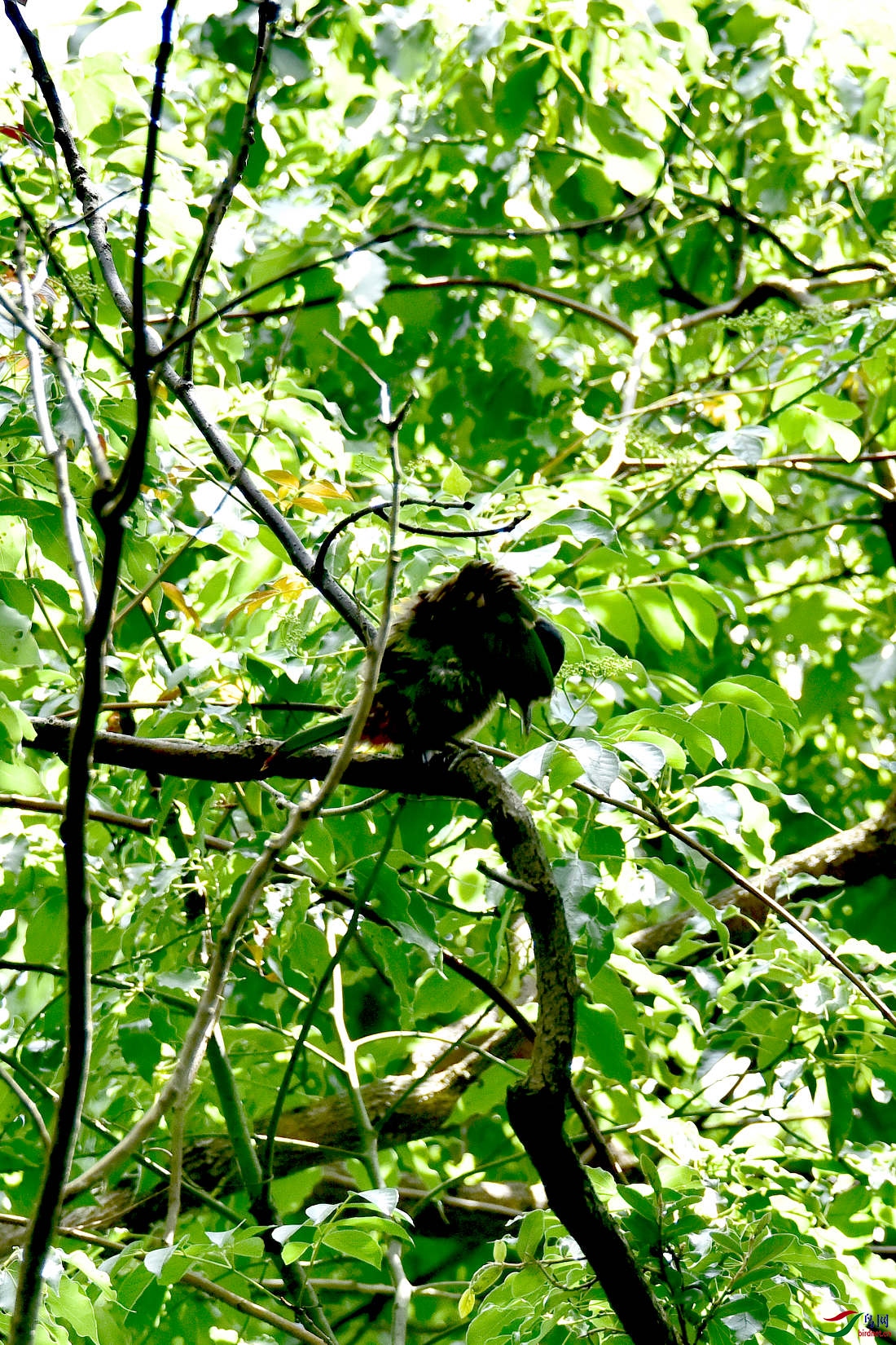 DSC_0240.JPG