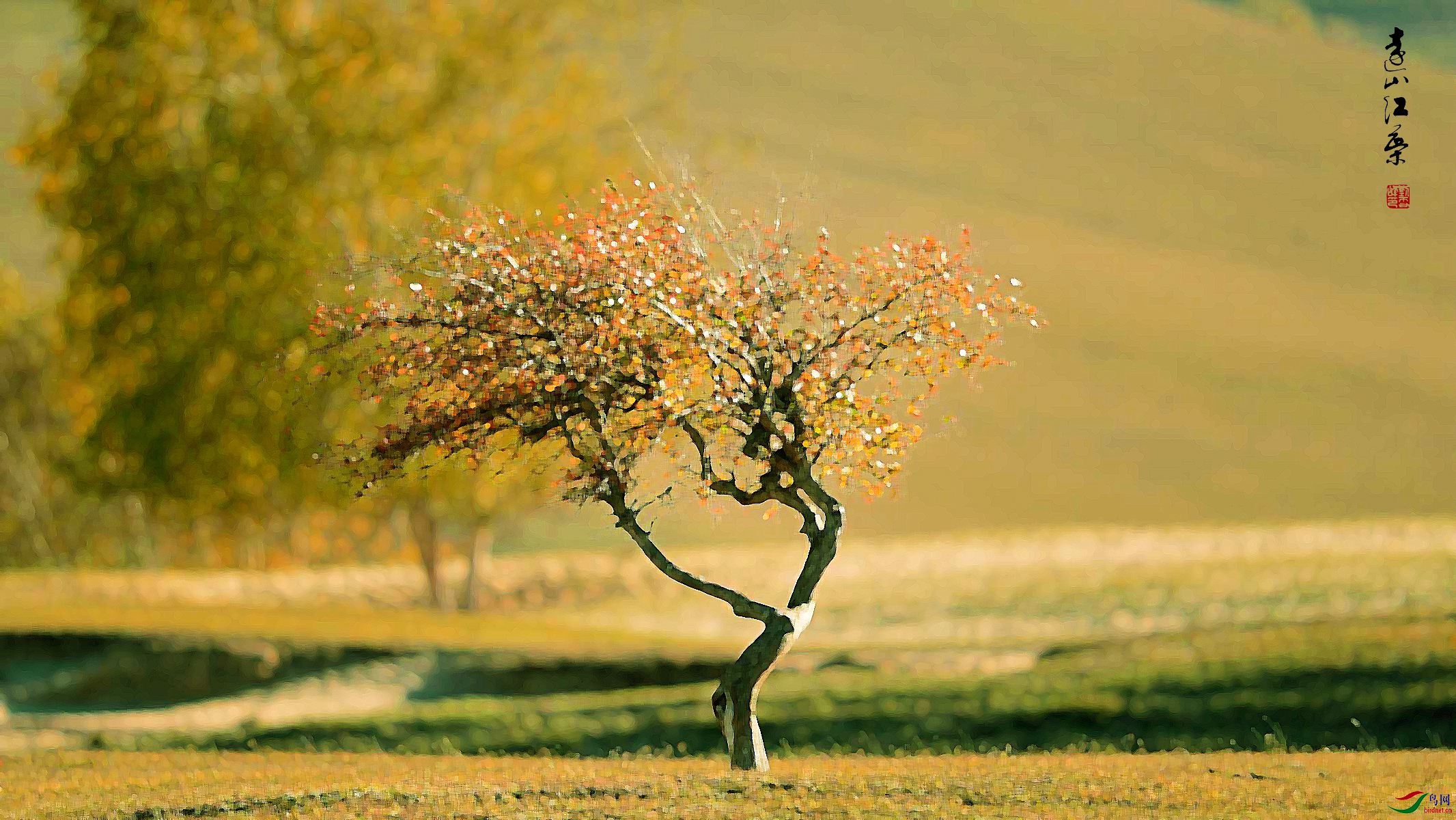 LYK_5968_����_���� ���� 2_����.jpg