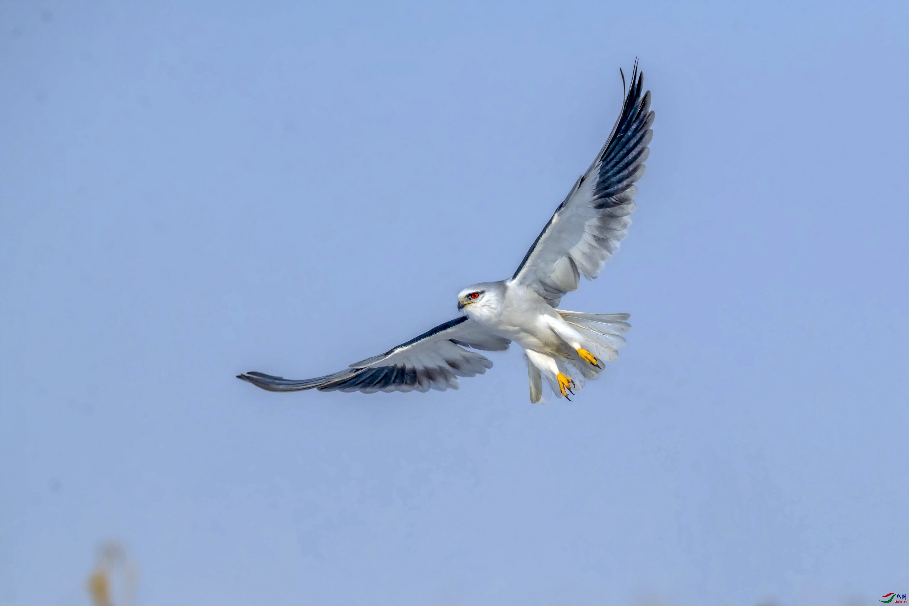 DSC_7221AF002.jpg