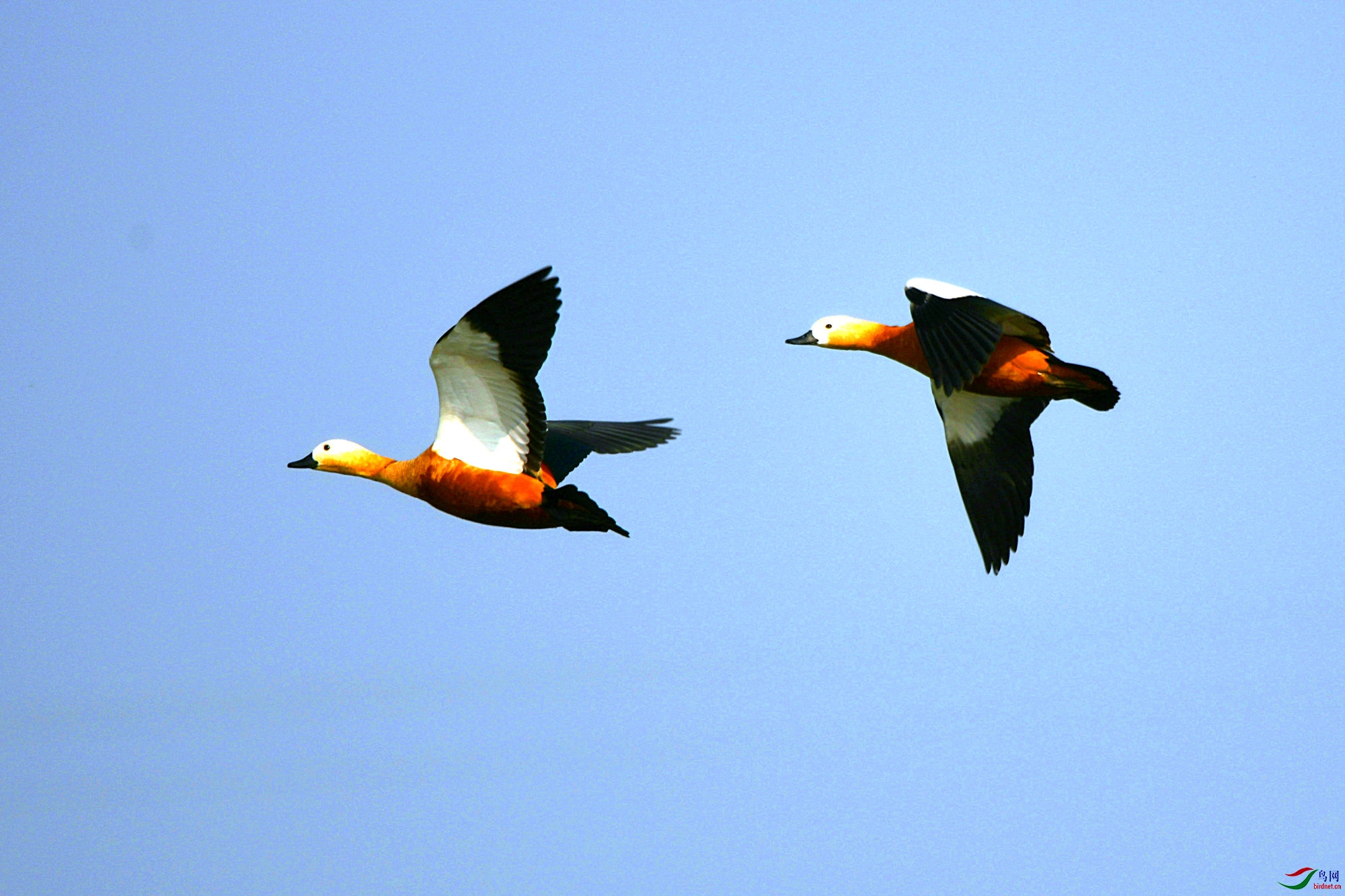 DSC_5865.jpg