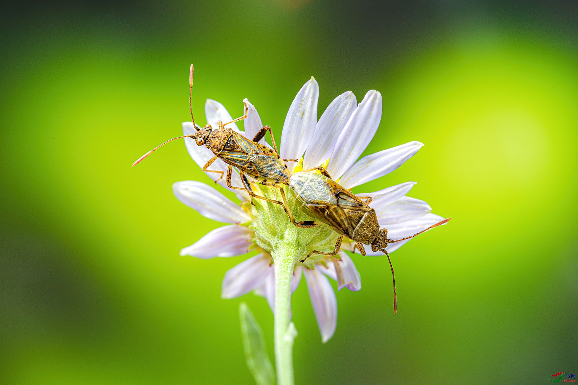 �������