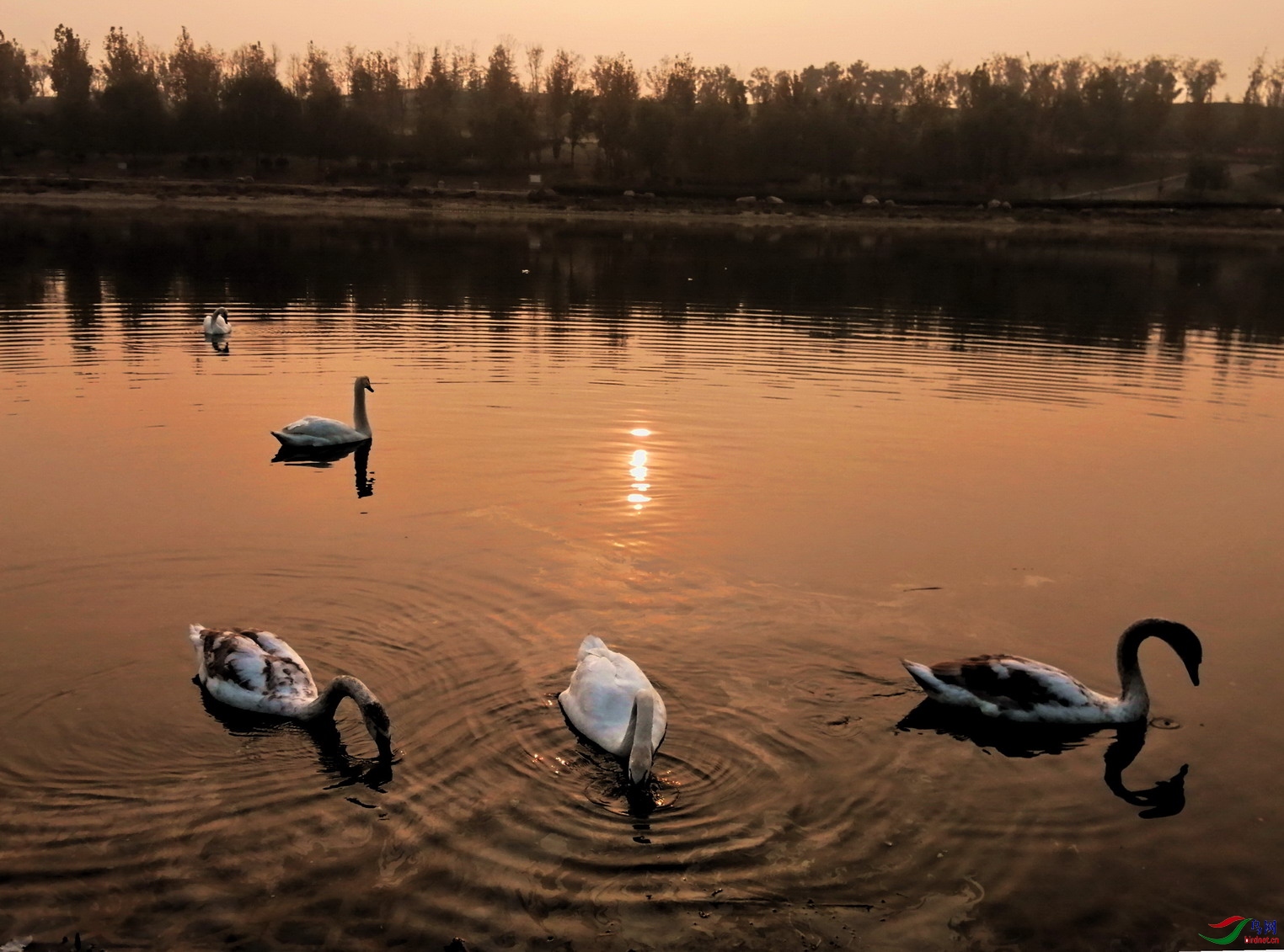 3 - ����.jpg